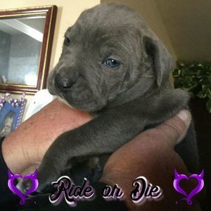 Meet your Posher, Patricia